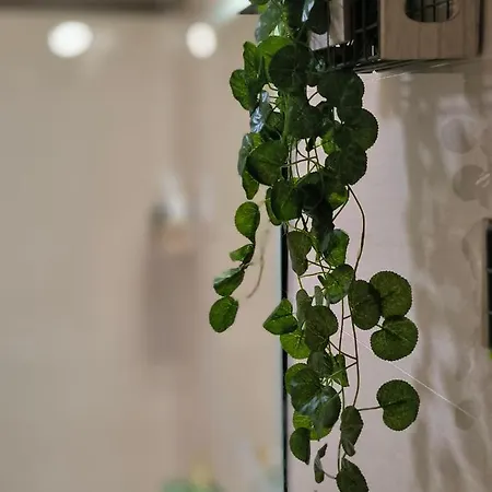 Lägenhet La Terraza De Predicadores By Alogest