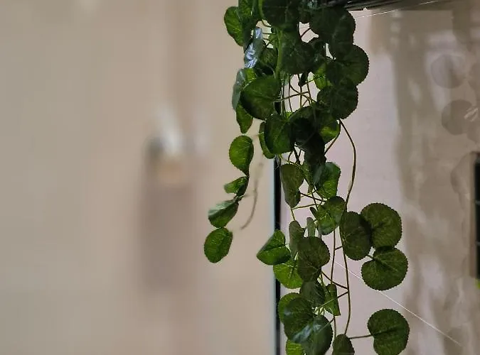 Appartement La Terraza De Predicadores By Alogest